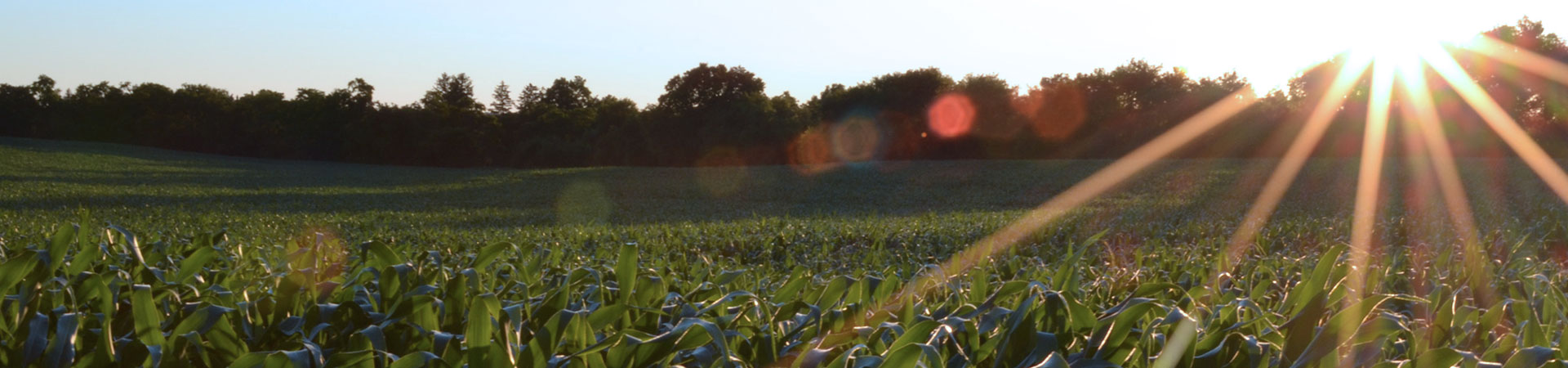 Fertipaez - Fosfatos de Colombia